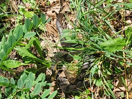 Trije tedni razigranega otroškega smeha – zaključek Ravensko razgibanega poletja (9)